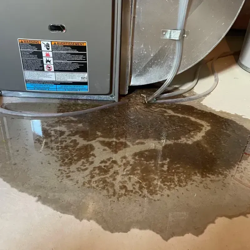 Appliance Leak Cleanup in Lake County, MT